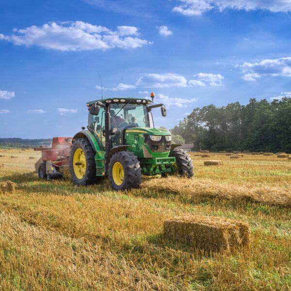 Landwirtschaft Die Linke steht auf der Seite der bäuerlichen Kleinbetriebe
