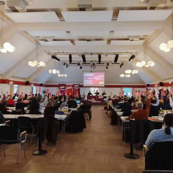 Landesparteitag der Linken SH in Rendsburg